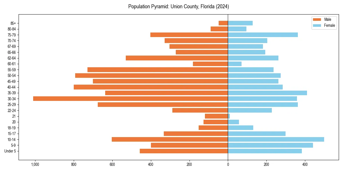 Population pyramid for 