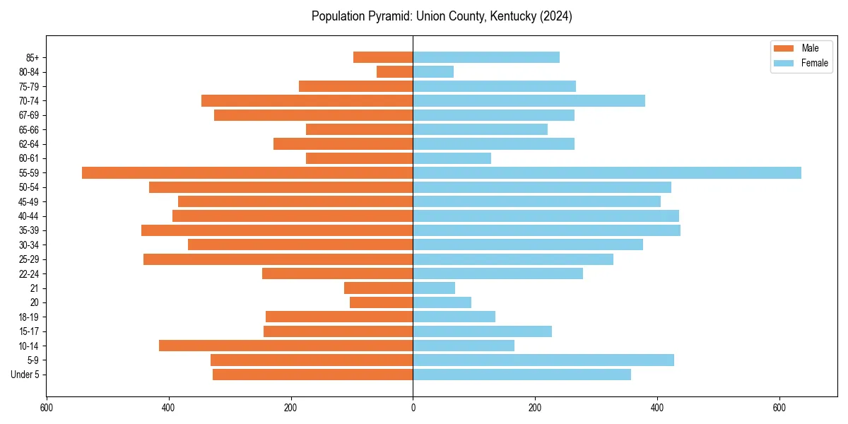 Population pyramid for 