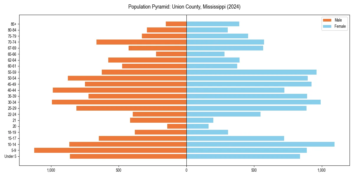 Population pyramid for 