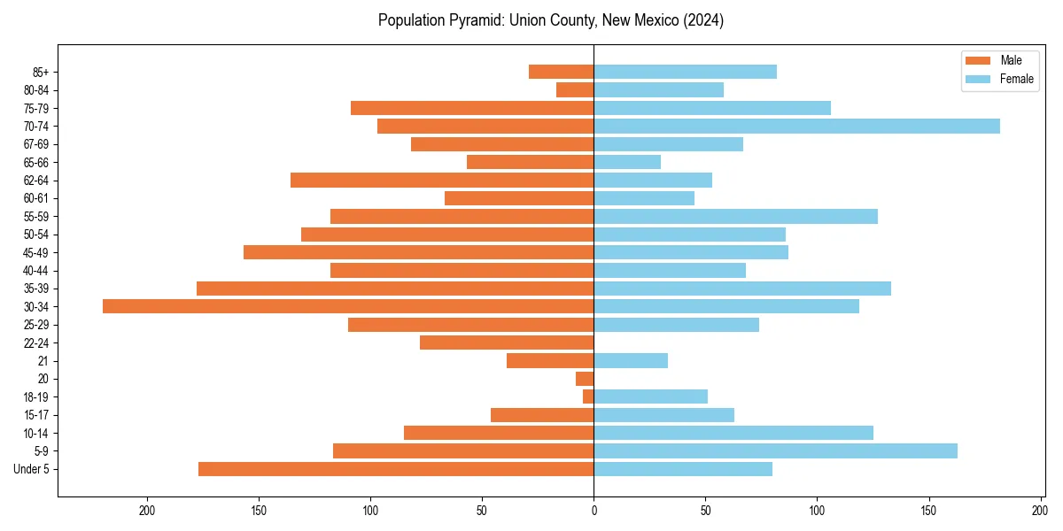 Population pyramid for 
