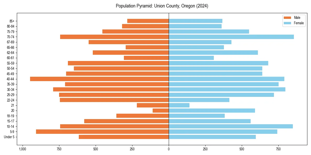 Population pyramid for 