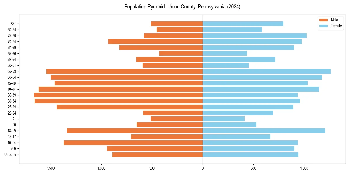 Population pyramid for 