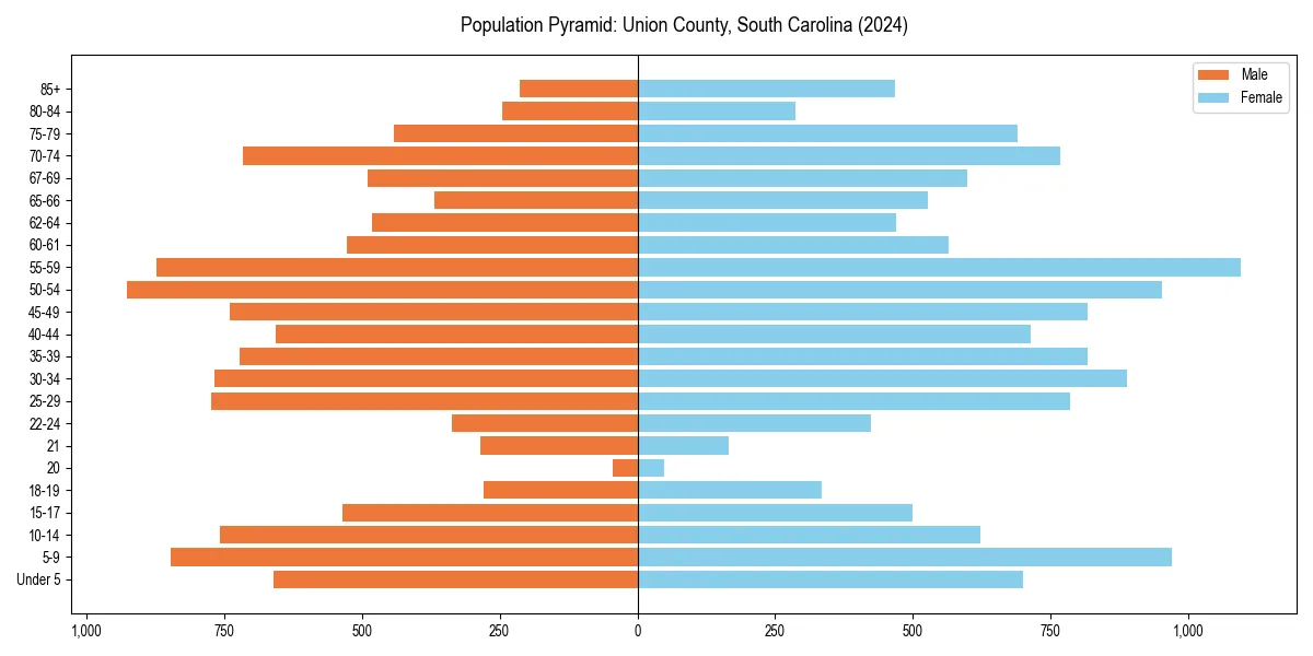 Population pyramid for 