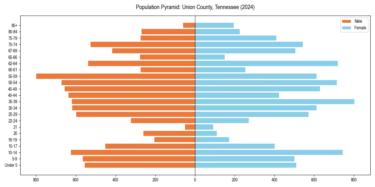 Population pyramid for 