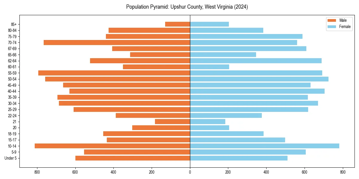 Population pyramid for 