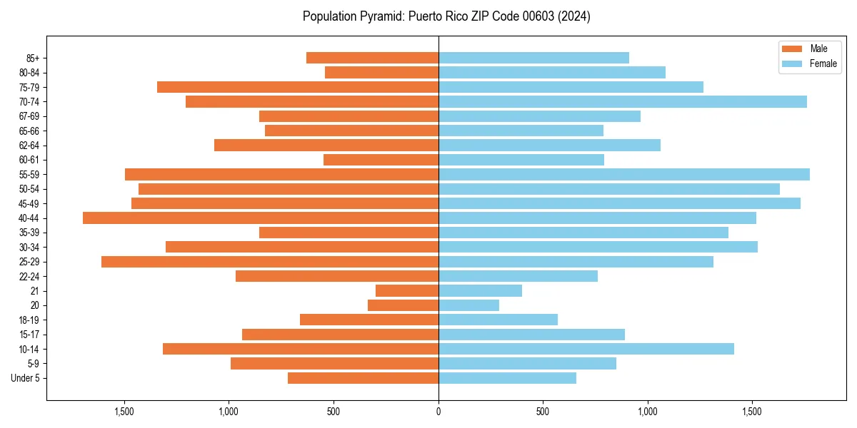 Population pyramid for 