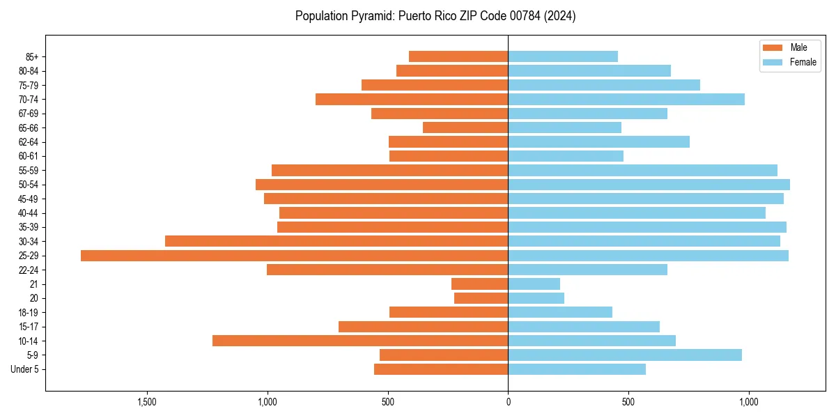 Population pyramid for 