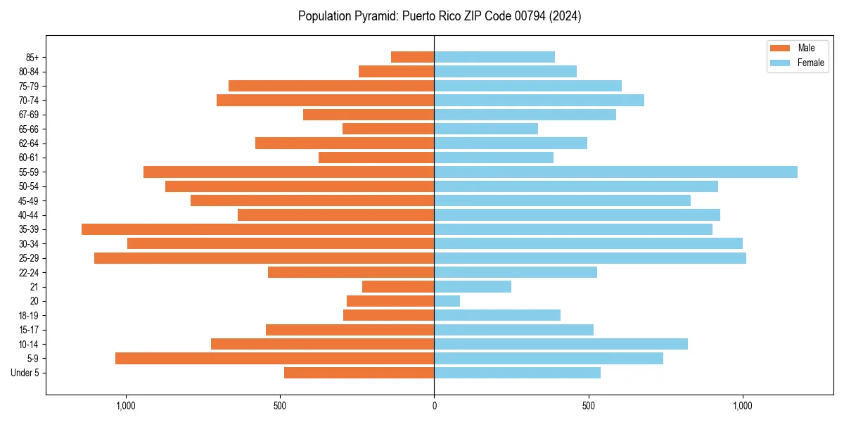 Population pyramid for 