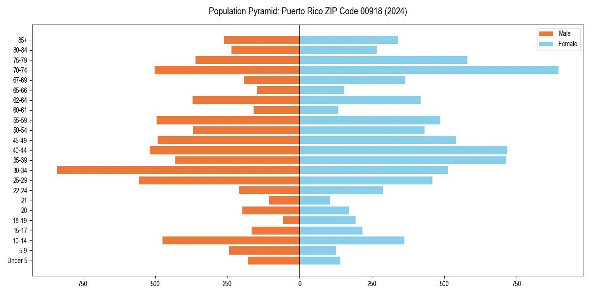 Population pyramid for 