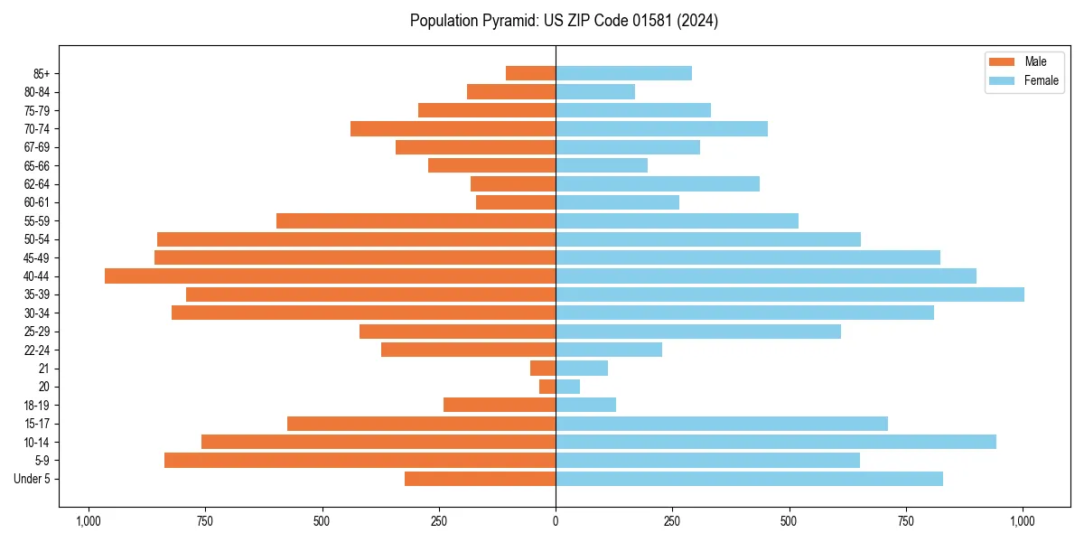 Population pyramid for 