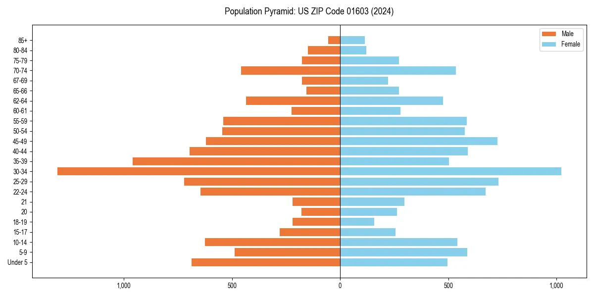 Population pyramid for 