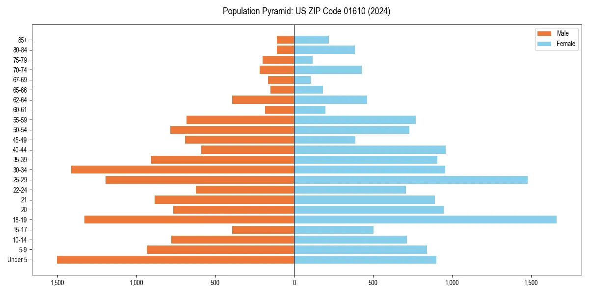 Population pyramid for 