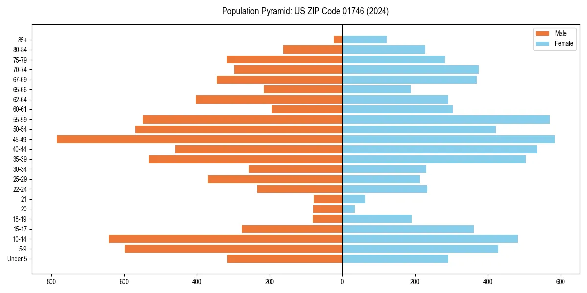 Population pyramid for