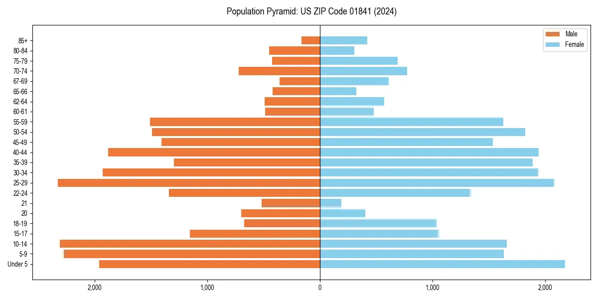 Population pyramid for 