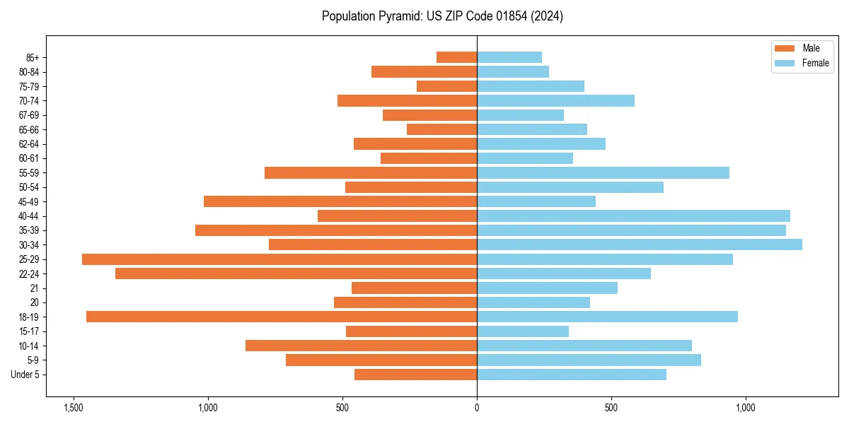 Population pyramid for 