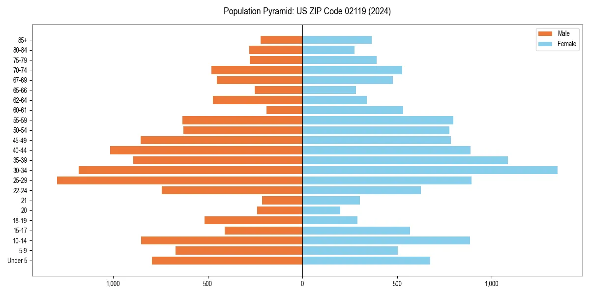 Population pyramid for 