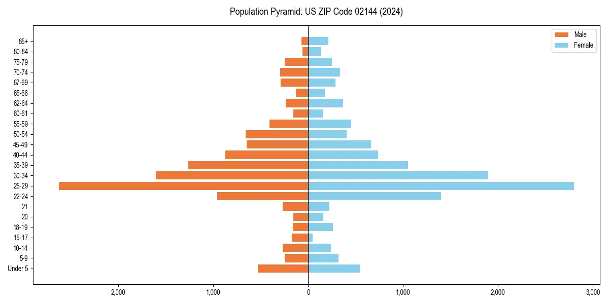 Population pyramid for 