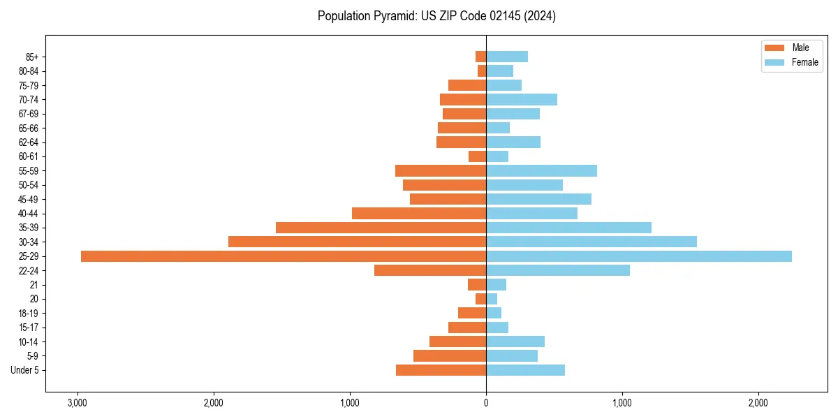 Population pyramid for 