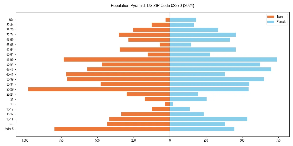 Population pyramid for 