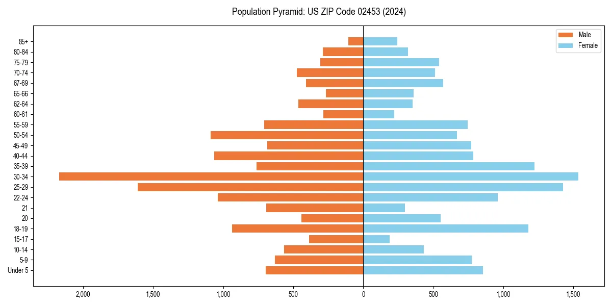 Population pyramid for 