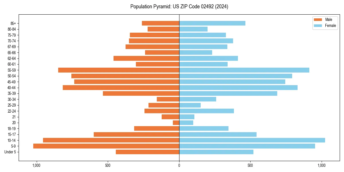 Population pyramid for 
