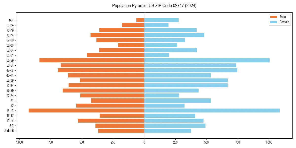 Population pyramid for 