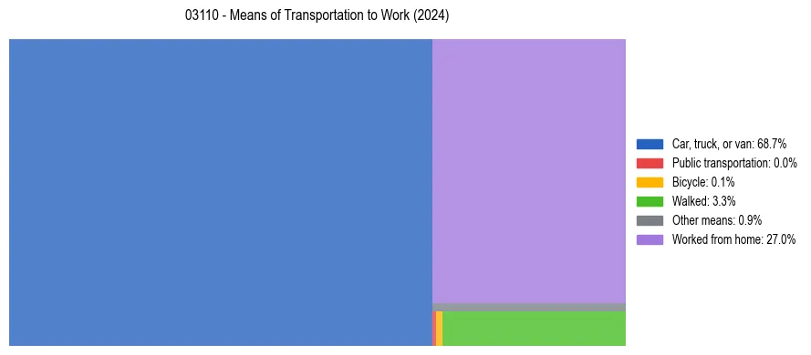 Commute modes in US ZIP Code 03110