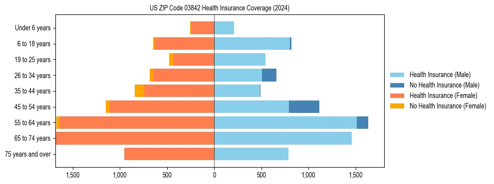 Health insurance pyramid for US ZIP Code 03842