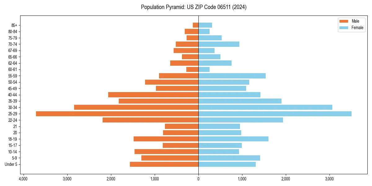 Population pyramid for 