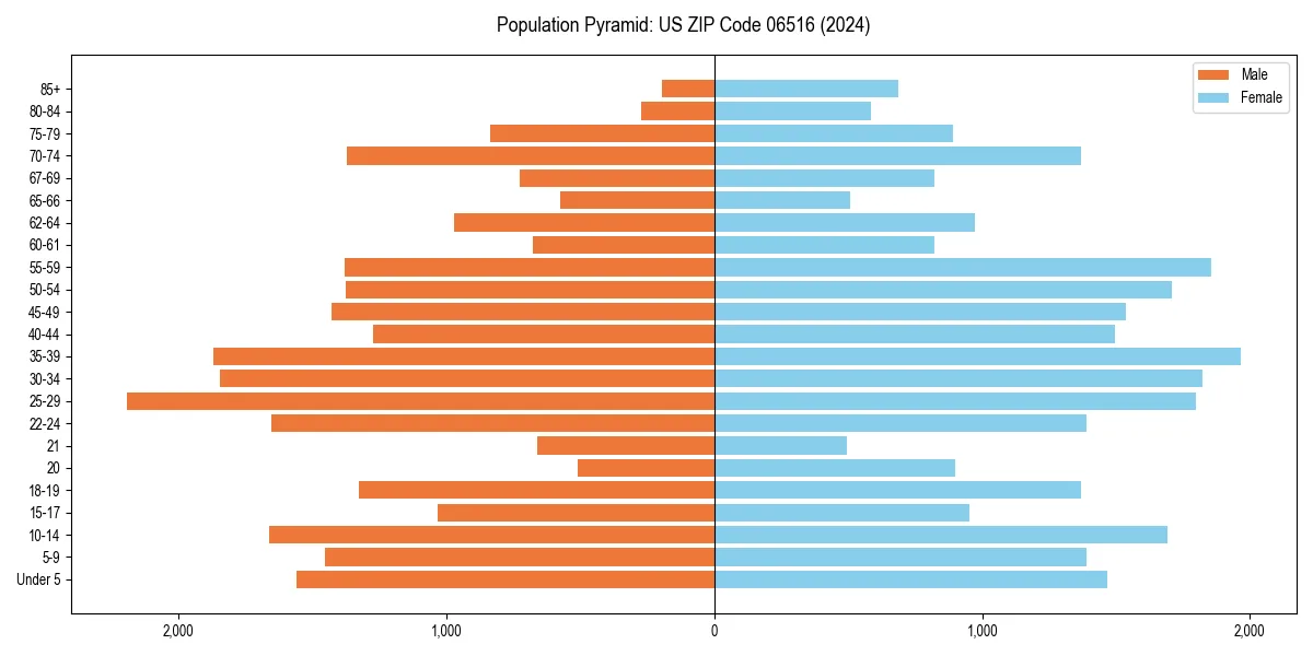 Population pyramid for 