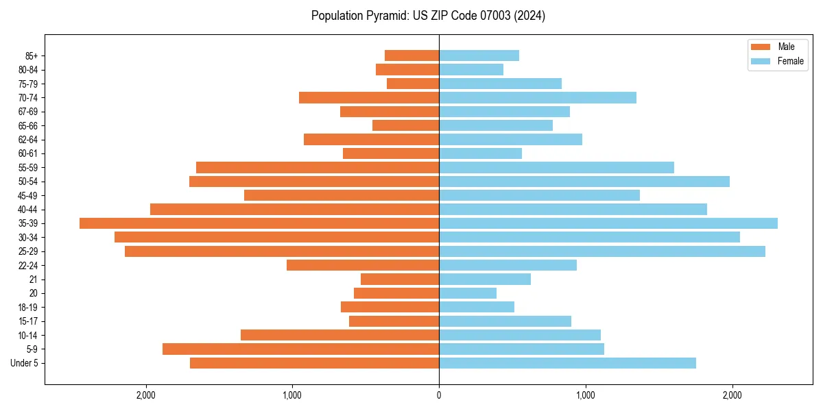 Population pyramid for 