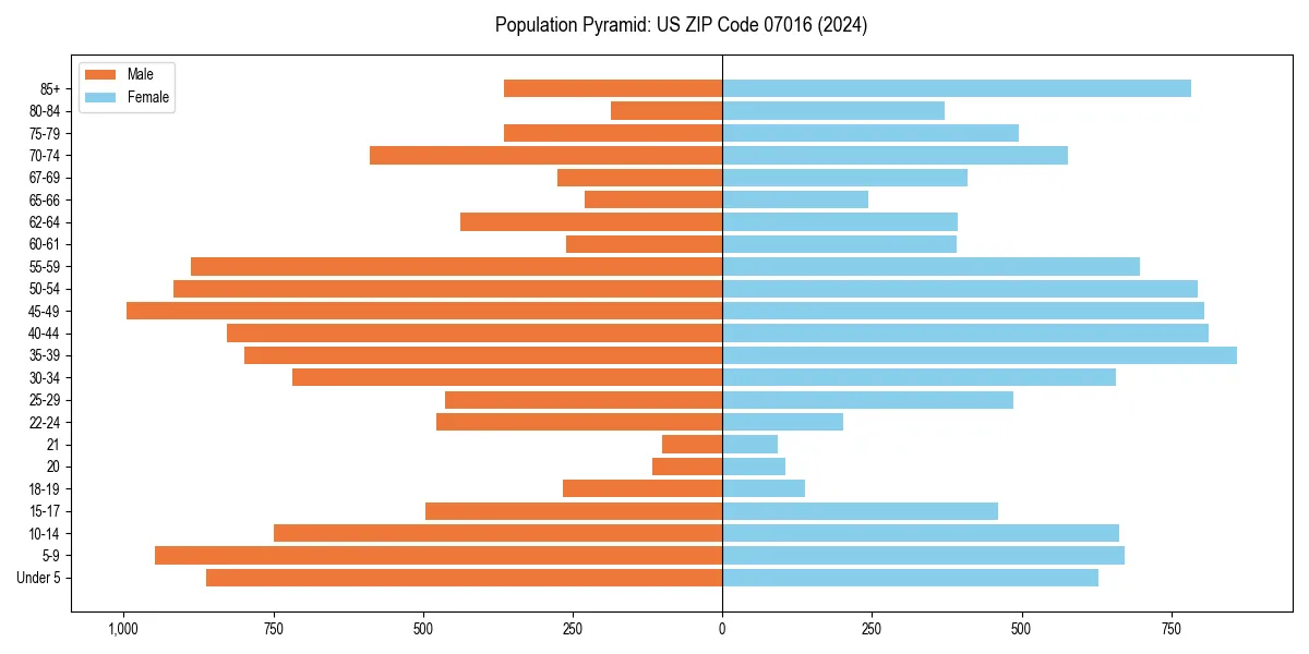 Population pyramid for 