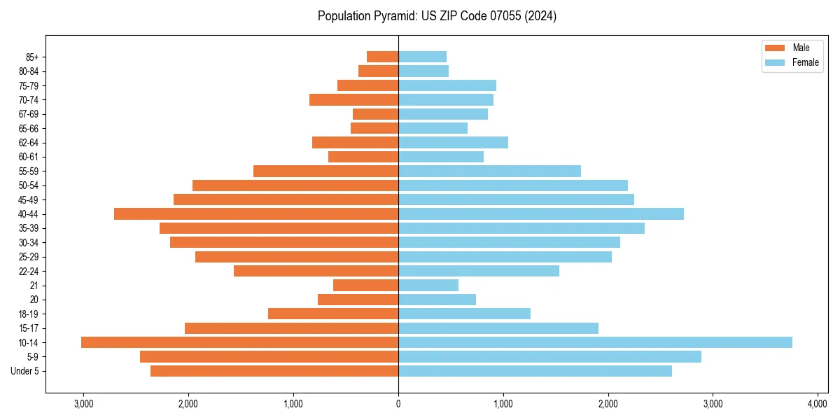 Population pyramid for 