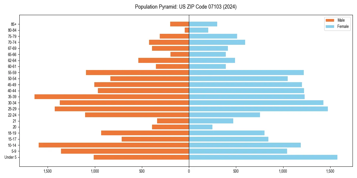 Population pyramid for 