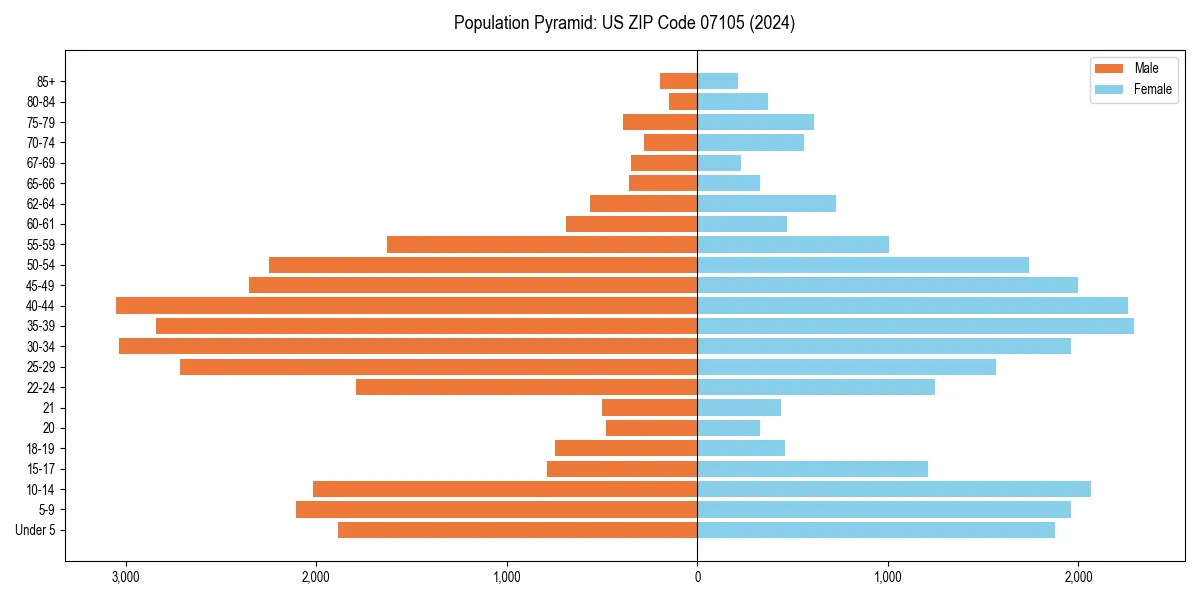 Population pyramid for 