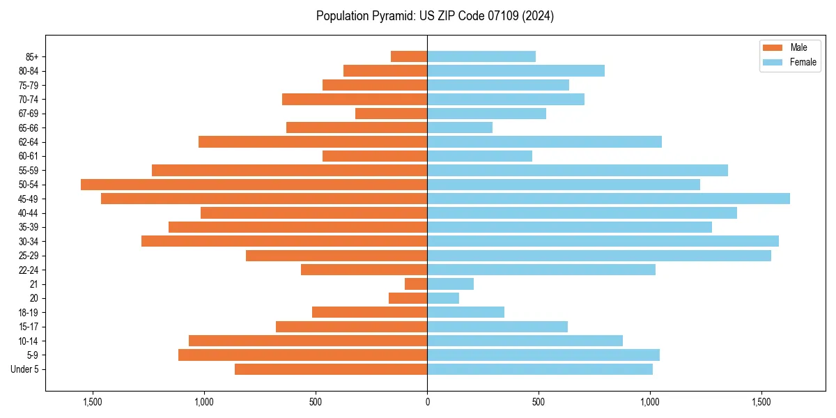 Population pyramid for 