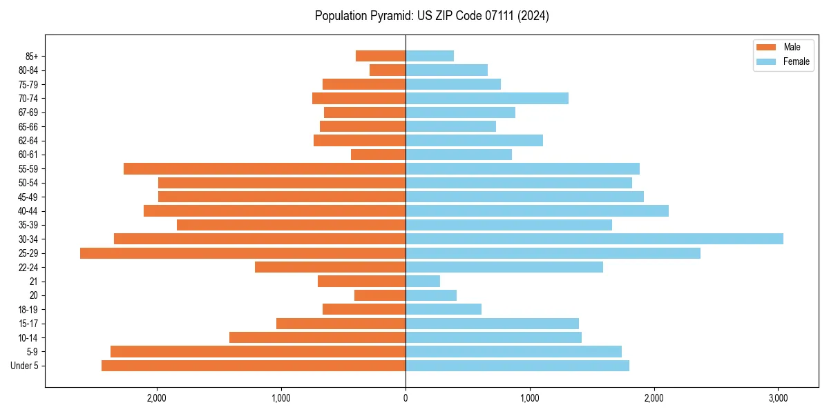 Population pyramid for 