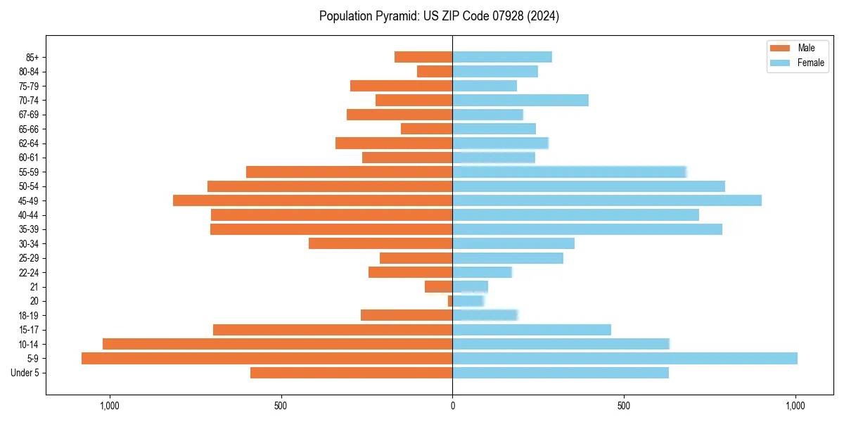 Population pyramid for 