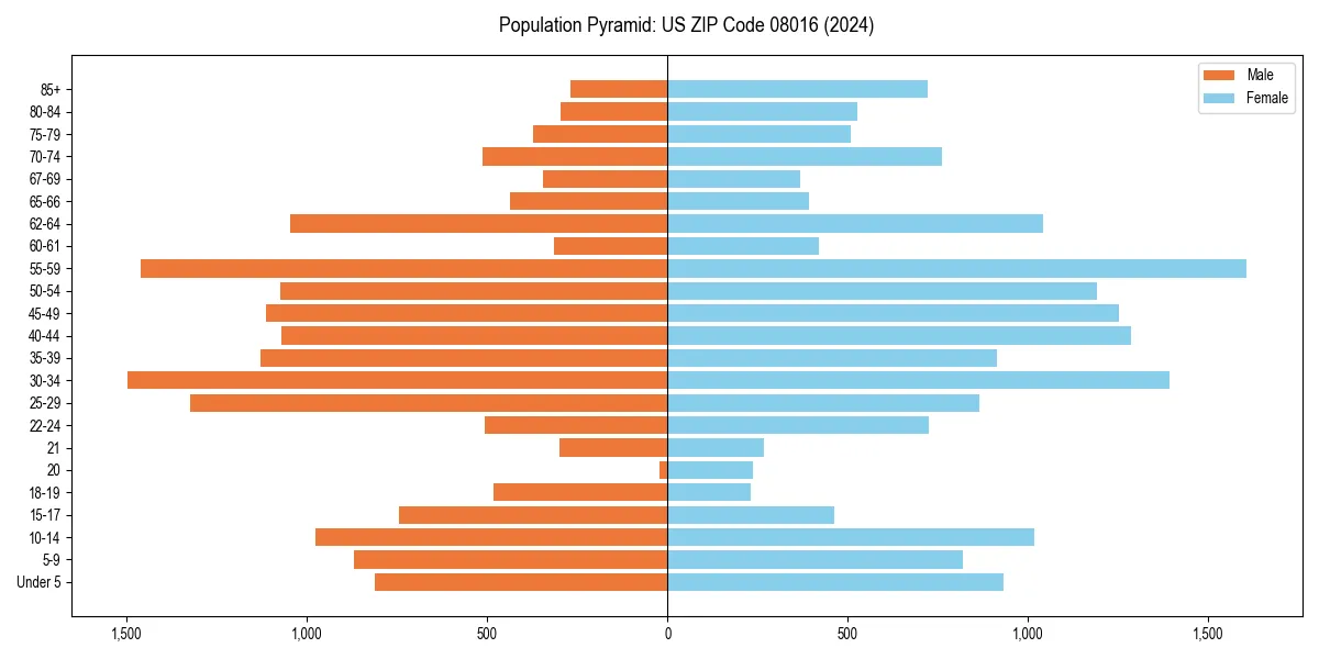 Population pyramid for 