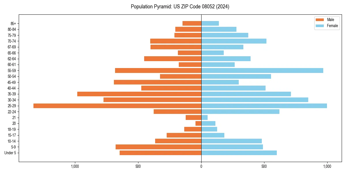 Population pyramid for 