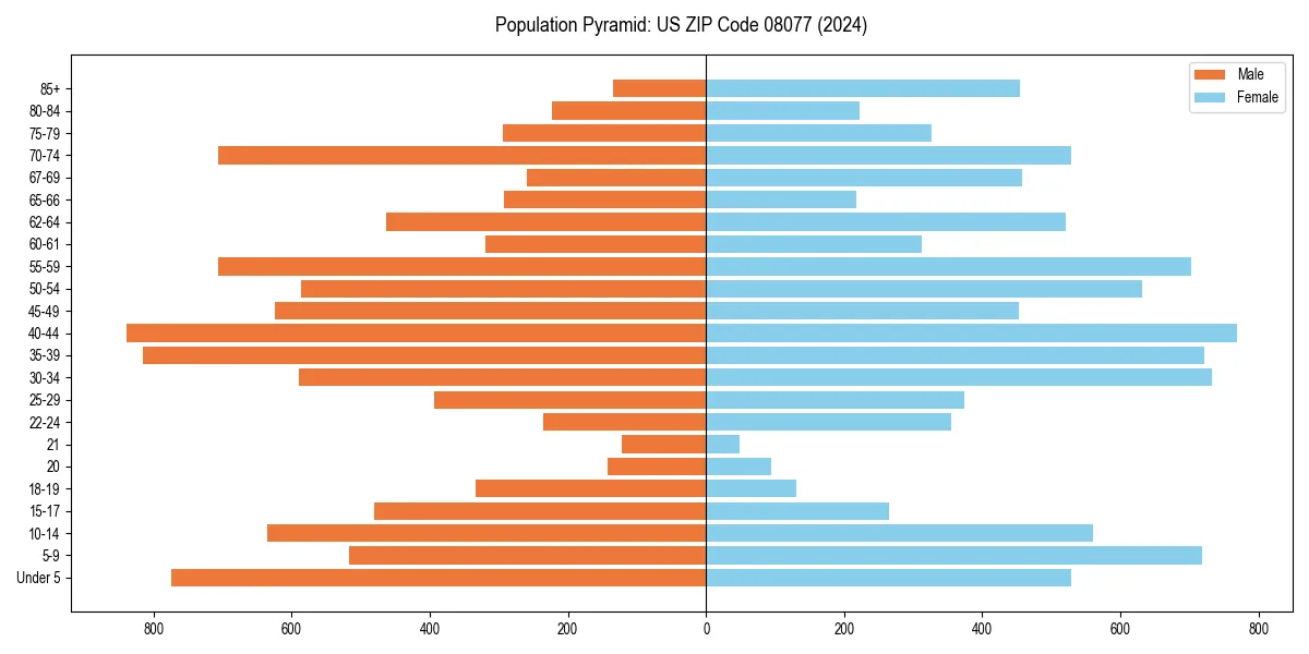 Population pyramid for 