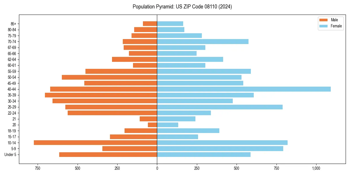 Population pyramid for 