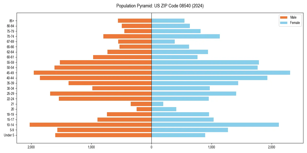 Population pyramid for 