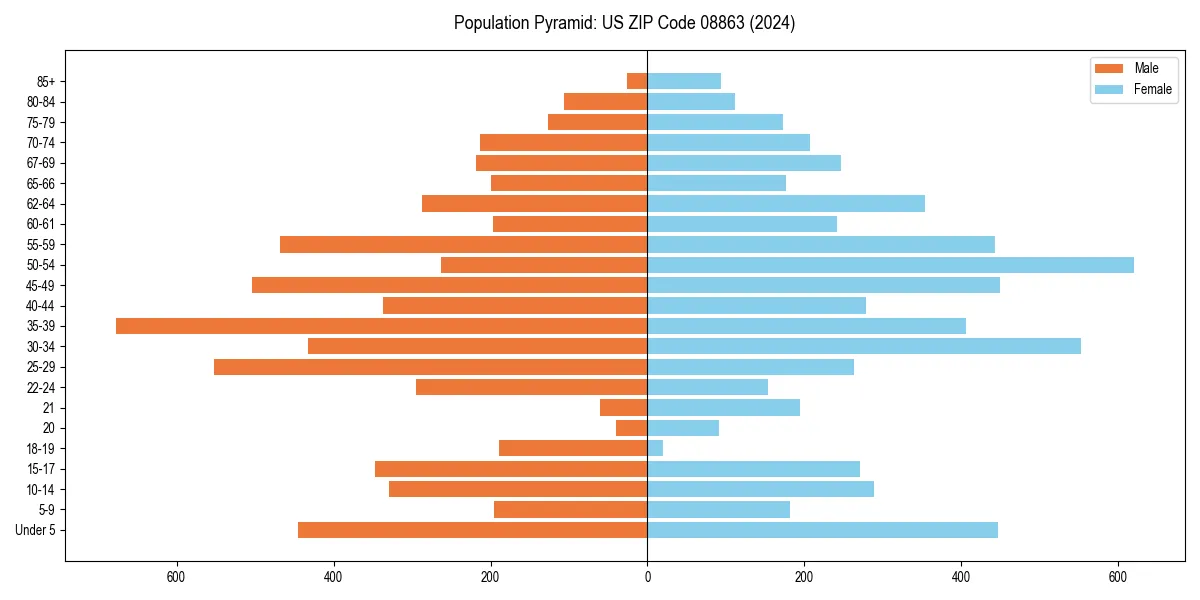 Population pyramid for 