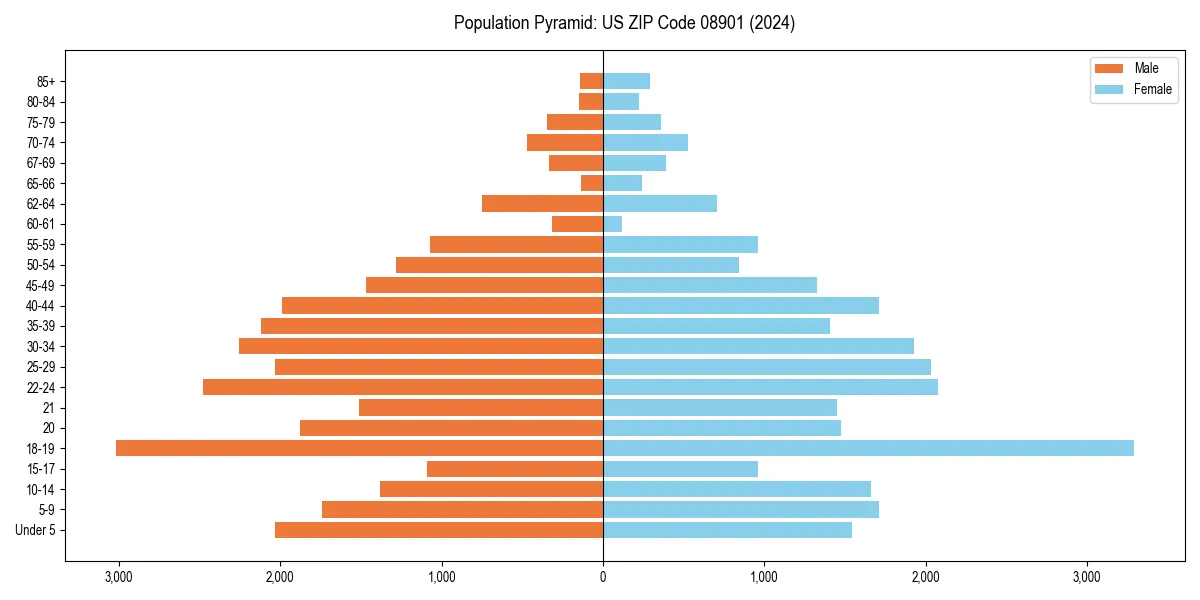 Population pyramid for 