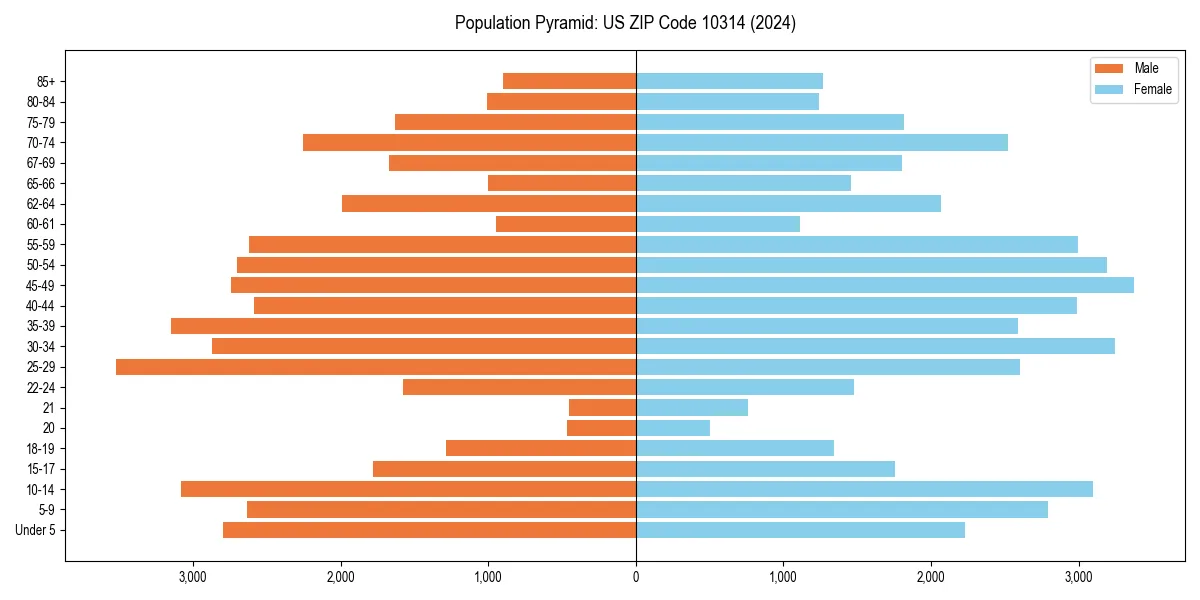 Population pyramid for