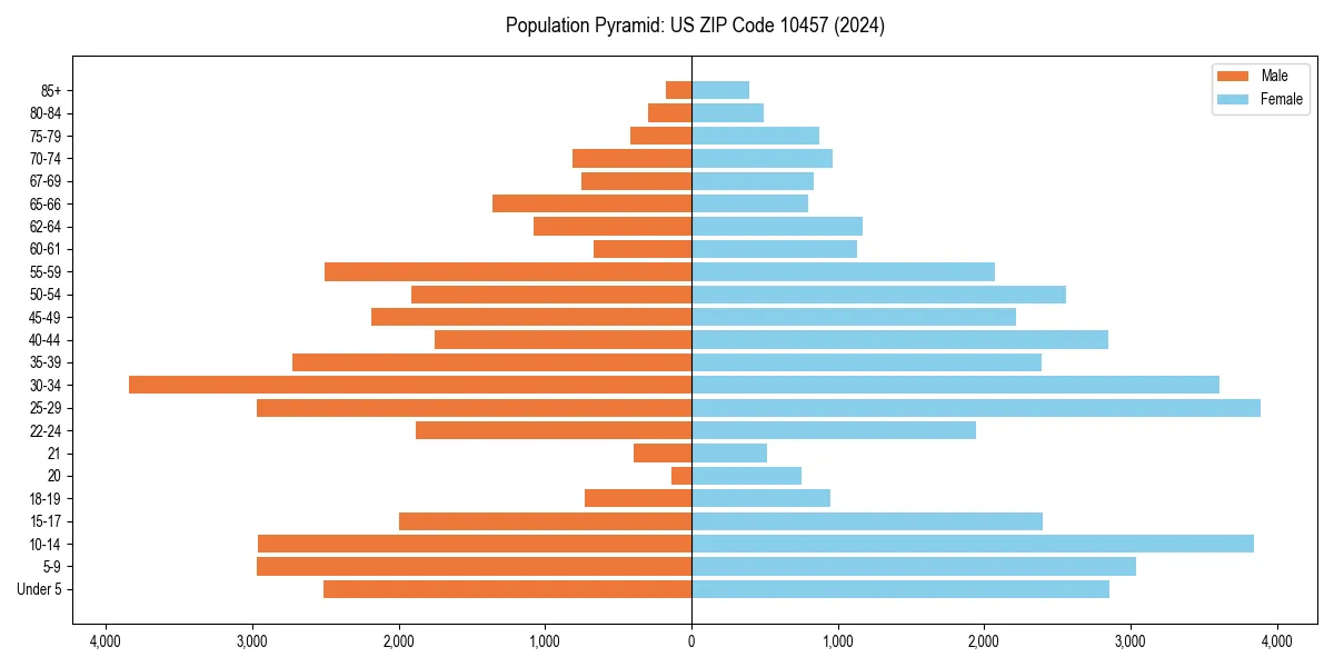 Population pyramid for