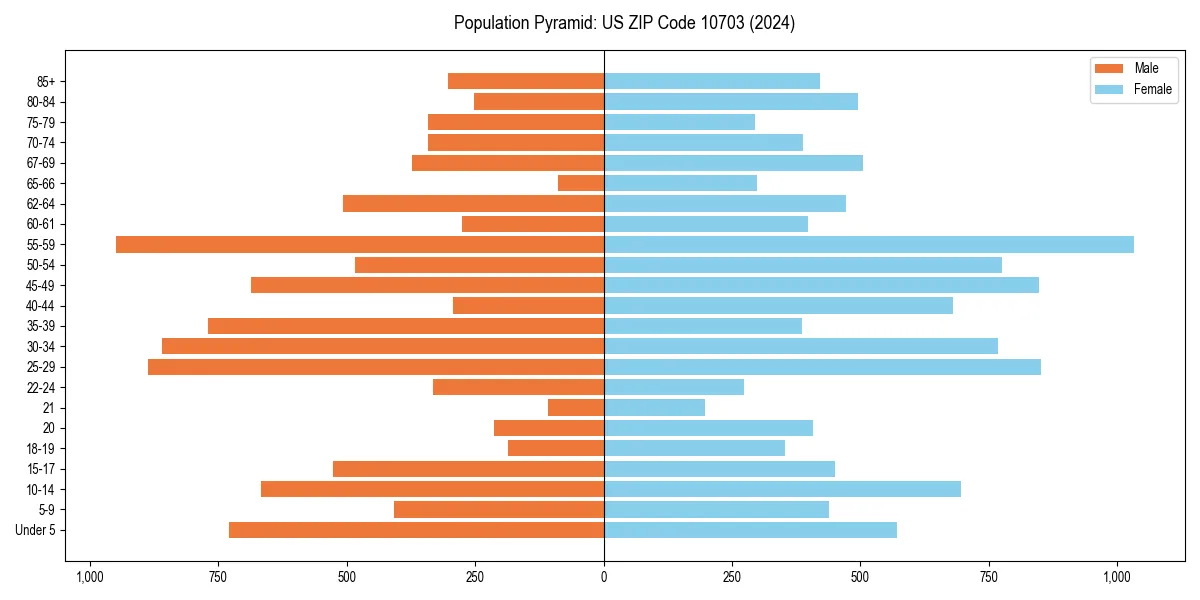 Population pyramid for 