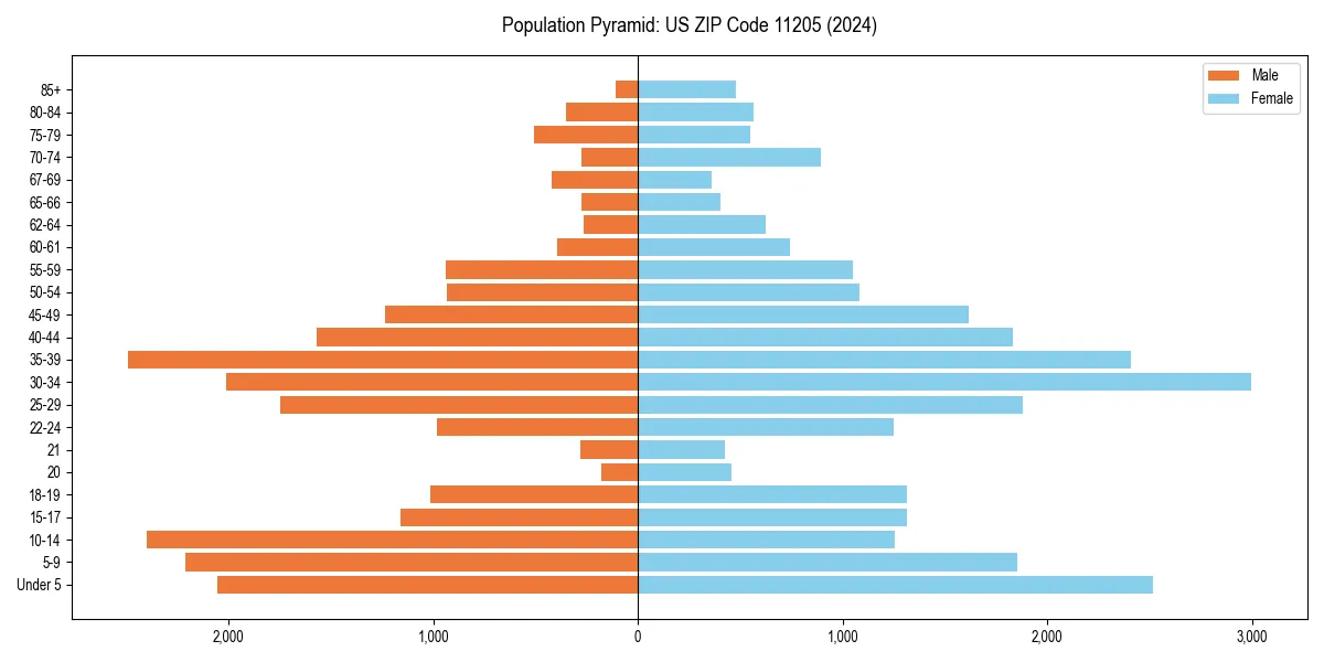 Population pyramid for 