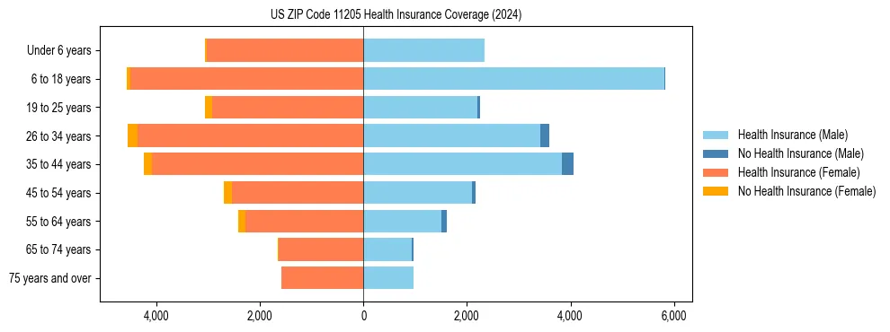 Health insurance pyramid for US ZIP Code 11205
